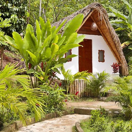 Eco Hotel Amanecer Tayrona El Zaino Exteriér fotografie