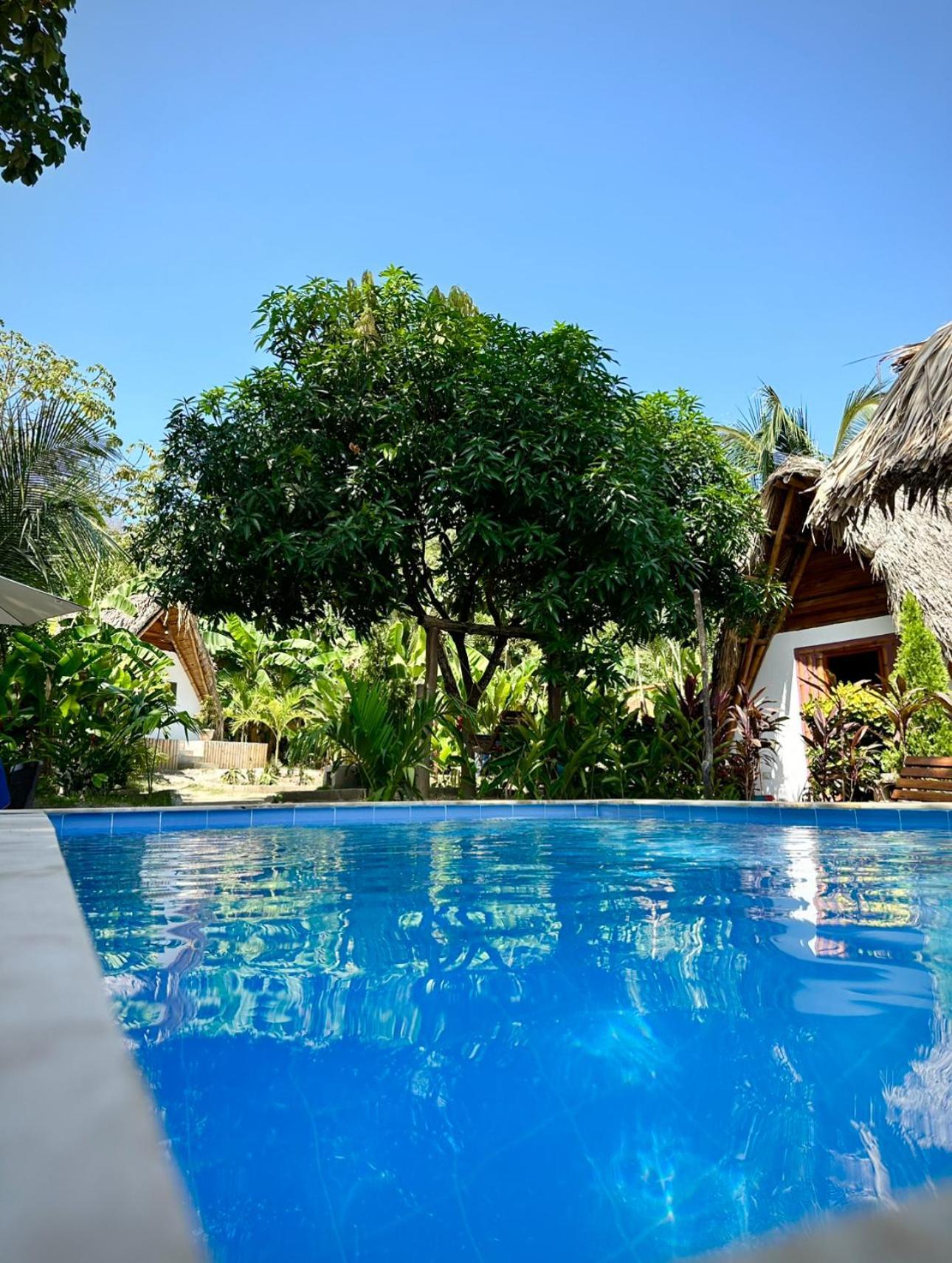 Eco Hotel Amanecer Tayrona El Zaino Exteriér fotografie