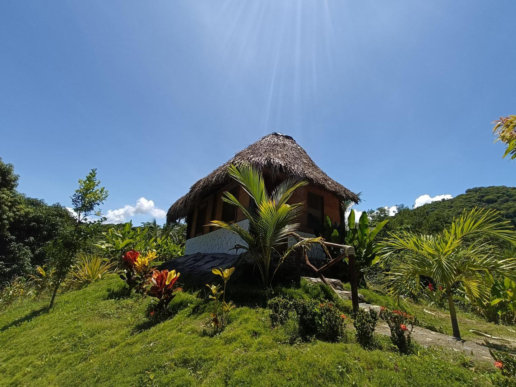 Eco Hotel Amanecer Tayrona El Zaino Exteriér fotografie