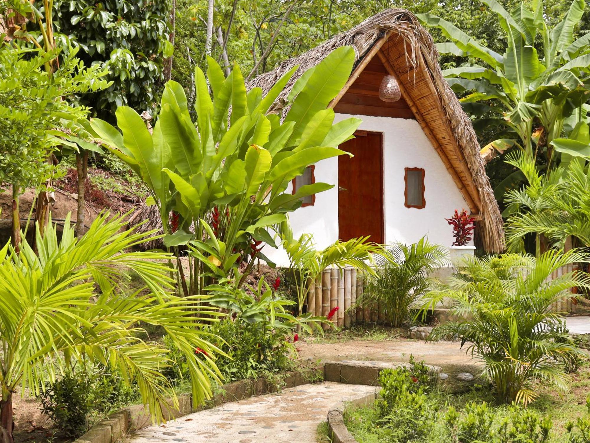 Eco Hotel Amanecer Tayrona El Zaino Exteriér fotografie